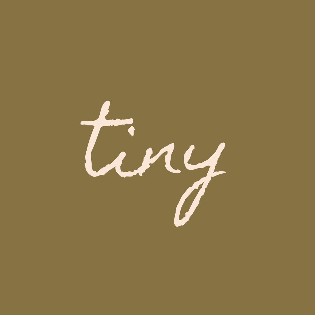 wearetiny.nl